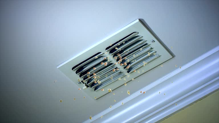 Best Commercial Air Duct Cleaning  in Wenona, IL