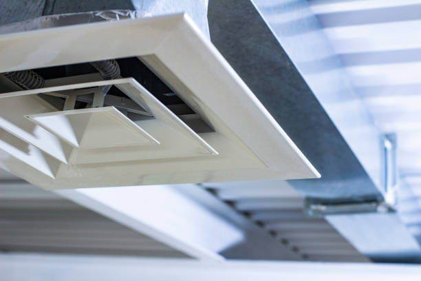 Best General Air Duct Cleaning  in Wenona, IL