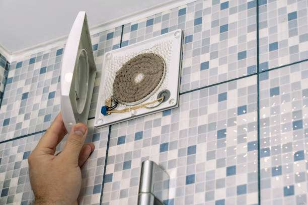 Best HVAC Duct Inspection Services  in Wenona, IL