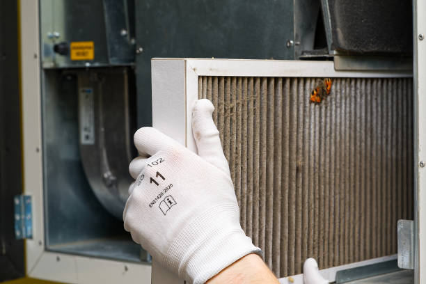 Best Air Duct Cleaning Near Me  in Wenona, IL