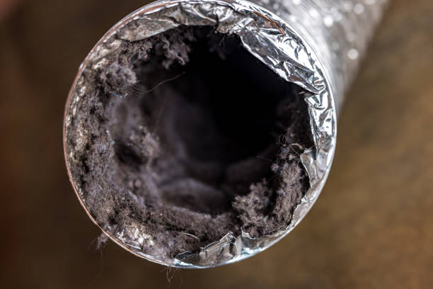 Best Emergency Air Duct Cleaning  in Wenona, IL