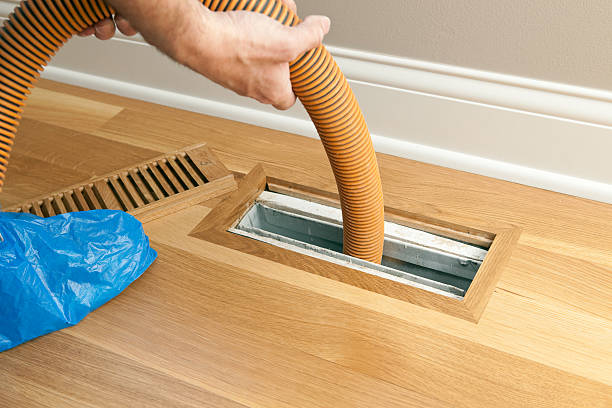 Best Affordable HVAC Duct Cleaning  in Wenona, IL