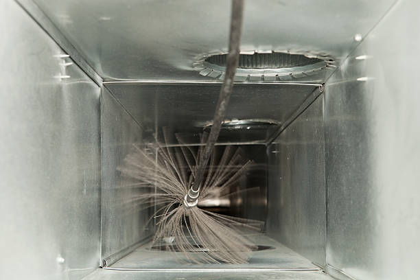 Best HVAC Air Duct Cleaning  in Wenona, IL