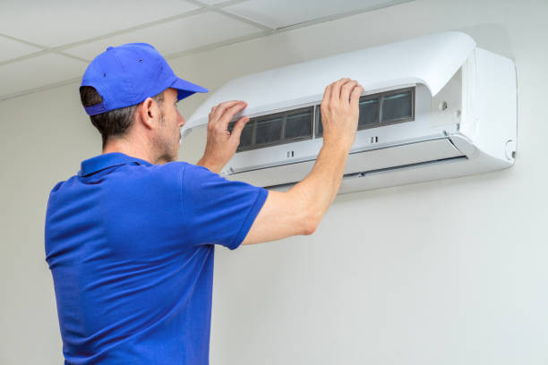 Best Home Air Vent Cleaning  in Wenona, IL
