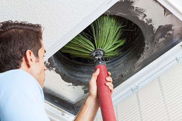Best HVAC Duct Inspection Services  in Wenona, IL